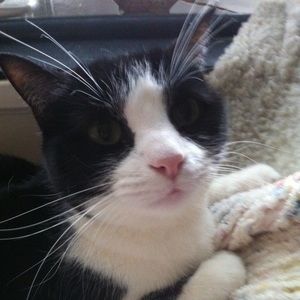 Meet your Posher, Kathryn